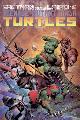 Teenage Mutant Ninja Turtles vol.1 #33