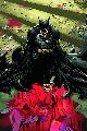 Batman vol.1 #673